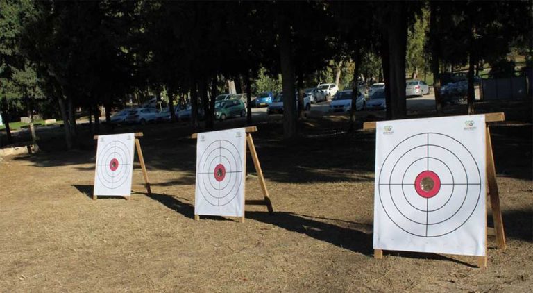 פיגוזיאדה – אולימפיאדת הילדים