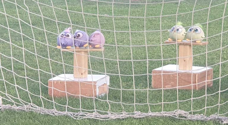 פיגוזיאדה – אולימפיאדת הילדים