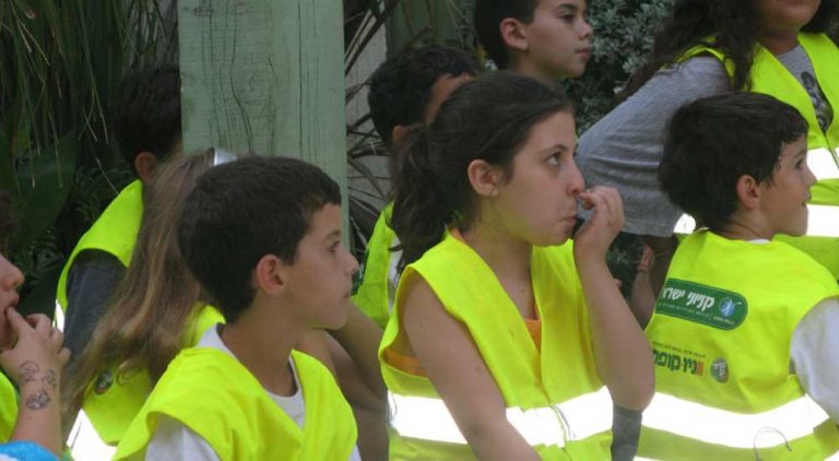 הפעלות לקייטנות